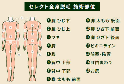 メンズルシアクリニックのセレクト3部位お試し（トライアル）対象部位